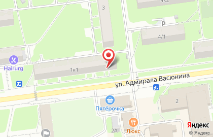 Магазин разливных напитков Лит.Ra на улице Адмирала Васюнина на карте