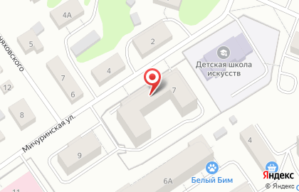 Центр раннего развития детей Максимка на Мичуринской улице на карте