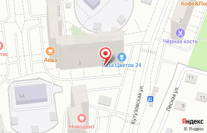 Служба доставки и логистики Сдэк на Кутузовской улице на карте