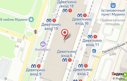 Станция Девяткино на карте