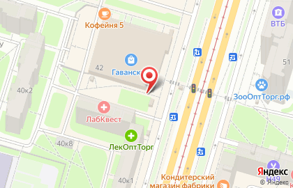 Магазин по продаже цветов в Василеостровском районе на карте