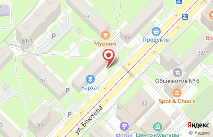 НП Новосибирский миграционный центр на карте