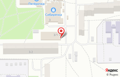 Компания Профессионал в Ленинском районе на карте