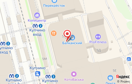 Магазин кожгалантереи EDMINS на Балканской площади на карте