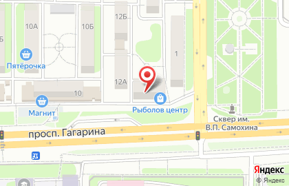 Сеть цветочных мастерских Роза 25 на проспекте Гагарина, 12 на карте