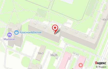 Театр игр и представлений Светлица на проспекте Просвещения на карте