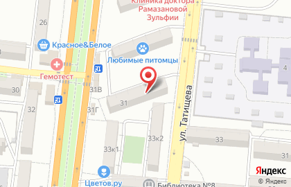 Кондитерский магазин Акконд на улице Савушкина на карте