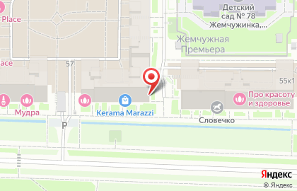 Первая наркологическая служба на Петергофском шоссе на карте