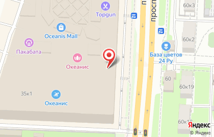 Зоомаркет ЛеМуррр на проспекте Гагарина на карте