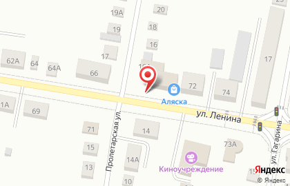 Магазин разливных напитков Пивоман на улице Ленина на карте