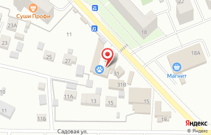 Ветеринарная клиника AniVet на Центральной улице на карте