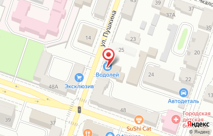 Магазин сантехники Водолей на улице Пушкина на карте