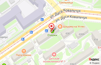 Аптека Озерки в Новосибирске на карте