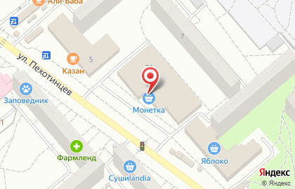 Зоомагазин Анстер на улице Пехотинцев на карте