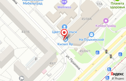 Магазин игрушек и воздушных шаров в Набережных Челнах на карте