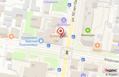 Зоомагазин Какаду на Амурской улице на карте