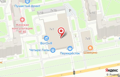 Сервисный центр в Санкт-Петербурге на карте