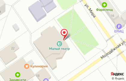 Государственный академический Малый театр России на карте