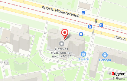 Детская школа искусств №37 на проспекте Испытателей на карте