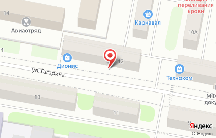 Магазин алкогольной продукции Дионис, магазин алкогольной продукции на улице Гагарина на карте