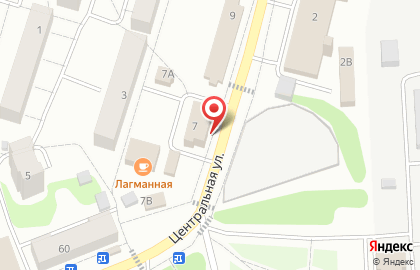 Аптека Посадский лекарь на Центральной улице на карте