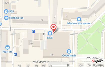 Зоомагазин Кот и Пес в Рузаевке на карте