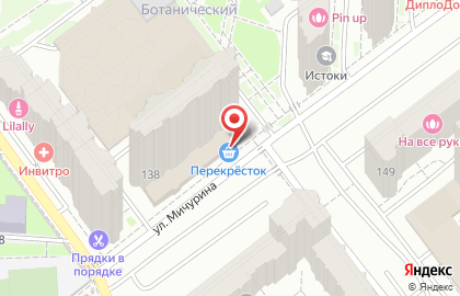 Туристическое агентство AnexTour на улице Мичурина на карте