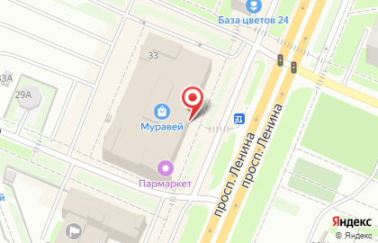 Шашлычный мир на проспекте Ленина на карте