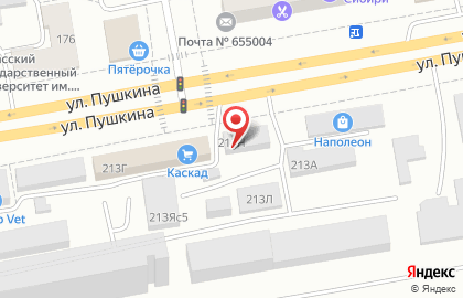 Магазин Русклимат на улице Пушкина на карте