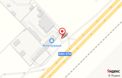 Шиномонтажная мастерская в Железногорске на карте