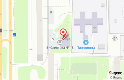 Центральная городская библиотека на Черноисточинском шоссе на карте
