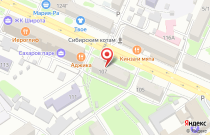 Алтайская краевая общественная организация по охране памятников истории и культуры Территория на карте