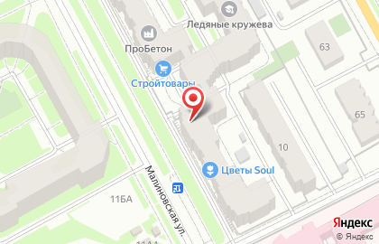 Магазин зоотоваров, ИП Александрова Е.Ю. на карте