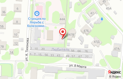 Йошкар-Олинская городская станция по борьбе с болезнями животных на карте