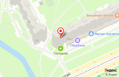 Дом быта Золотой Башмачок на проспекте Большевиков на карте