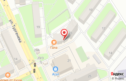 Спортивная федерация тхэквондо Пермского края на ул.Тургенева на карте