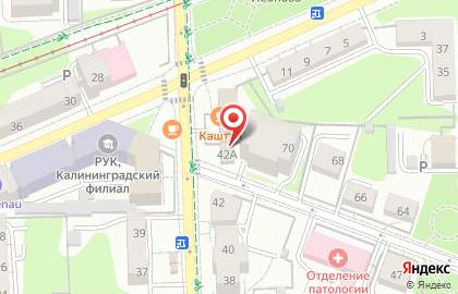 Кондитерский дом Панда и Старый Гданьск на Комсомольской улице на карте