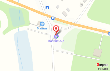 Калина Ойл в Тамбове на карте