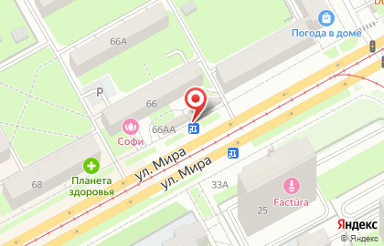 Магазин цветов на ул. Мира, 66 на карте