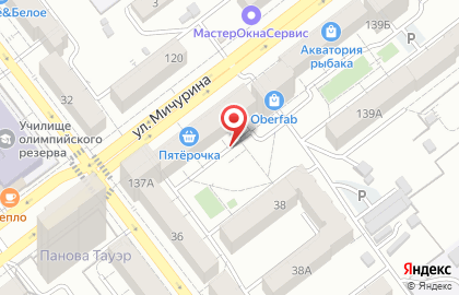 Сеть магазинов, ИП Реброва И.Е. на улице Мичурина на карте