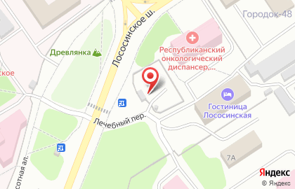 Мир Авто на Лососинском шоссе на карте