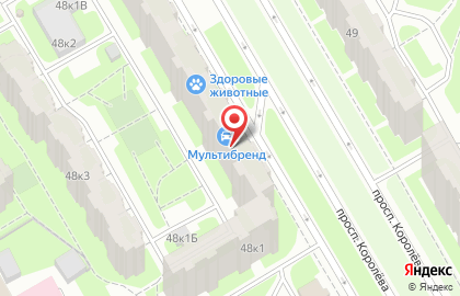 Сервисный центр MultiBrand-Auto в Приморском районе на карте