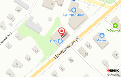 Супермаркет цифровой техники DNS на Центральной улице на карте