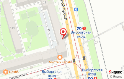 Магазин рыбы Гурман-Фиш на Лесном проспекте на карте