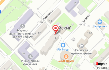 Магазин мясной продукции на улице Кирова на карте
