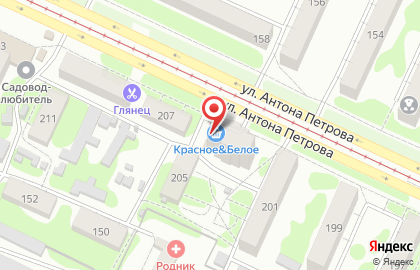 Магазин Погребок на улице Антона Петрова на карте