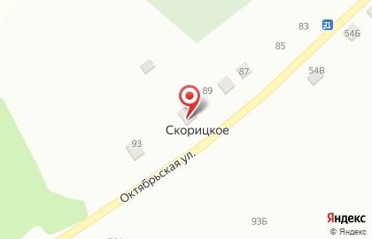 Скорицкий фельдшерско-акушерский пункт Репьевской районной больницы на карте