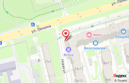 Универсам Fix Price на улице Ленина на карте