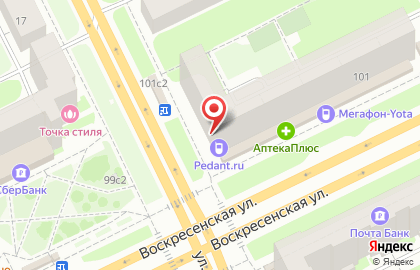 Сервисный центр Pedant.ru на Троицком проспекте на карте