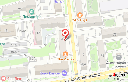MiraiVet на карте